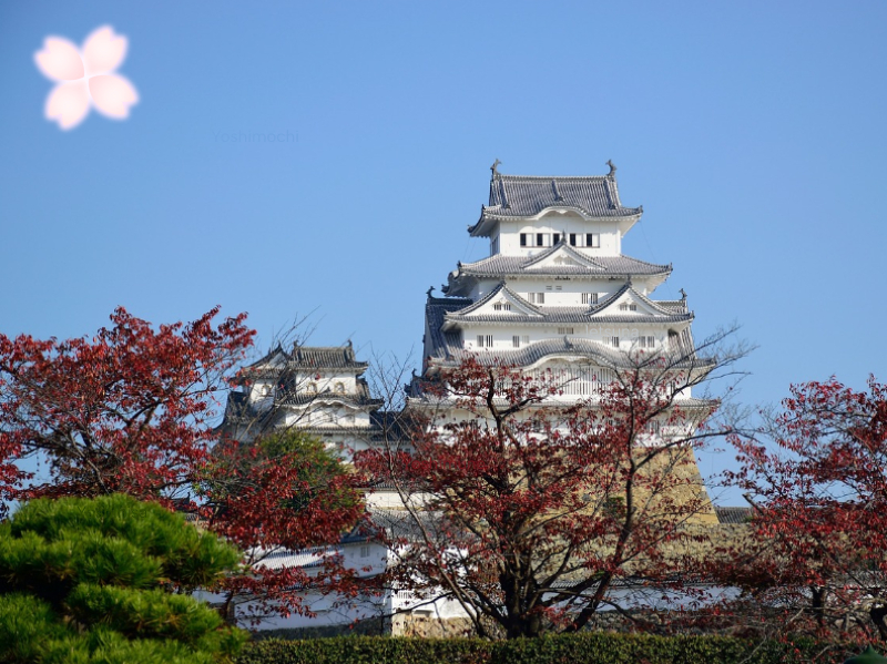 Iemitsu